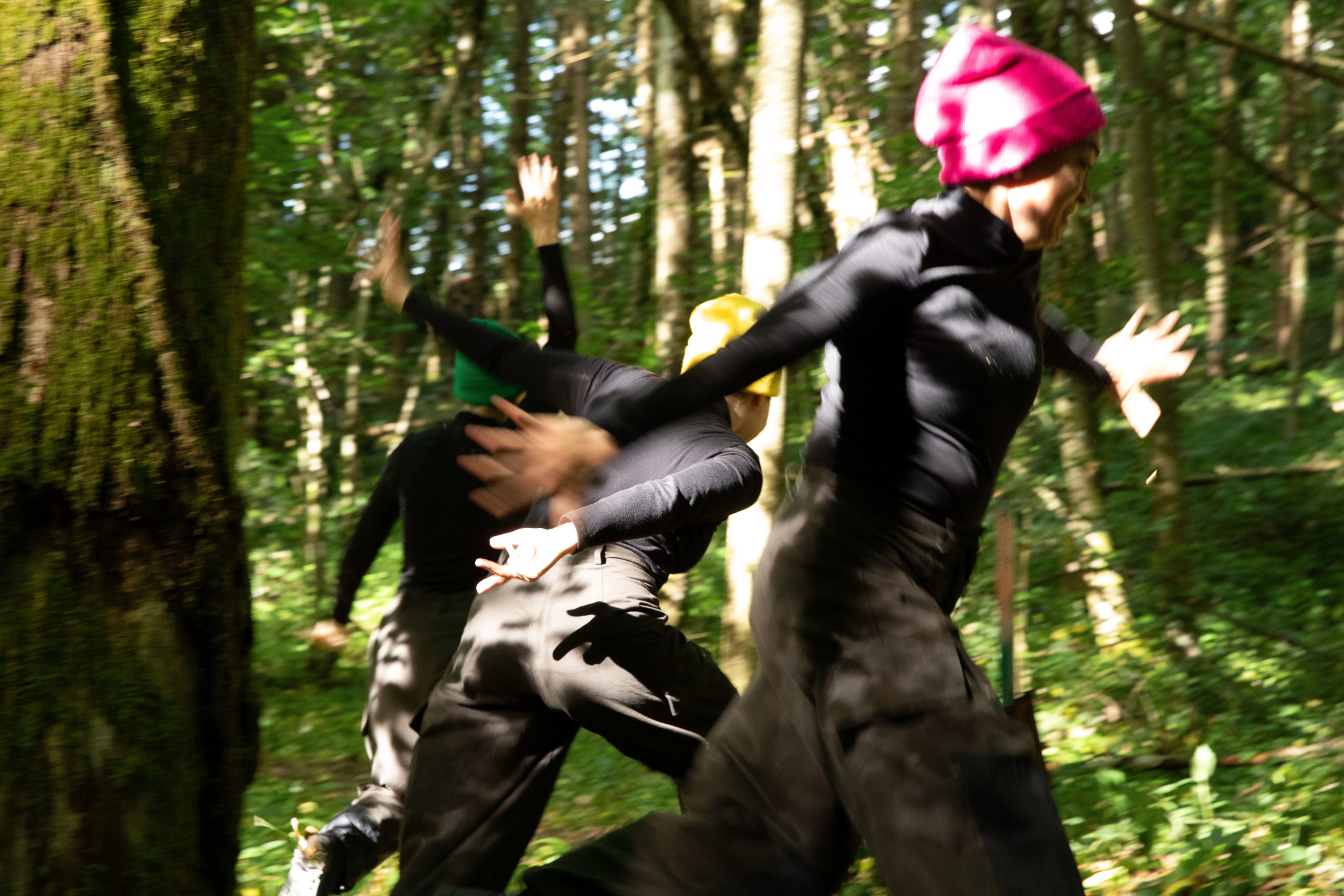 WI – LA PEAU DES ARBRES